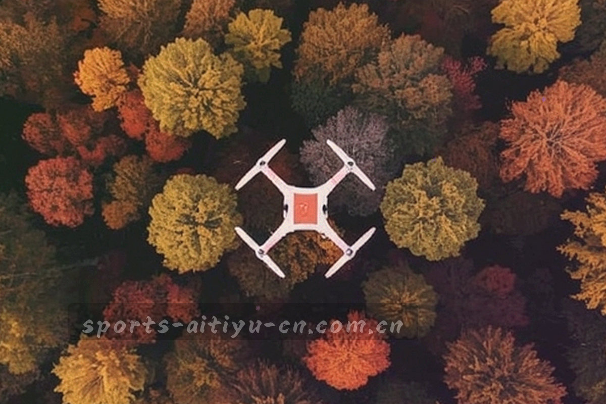 半场示意图上叠压排名条与轮次数字，深墨绿底配青绿色数据线